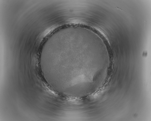 X0000091370823200708101531