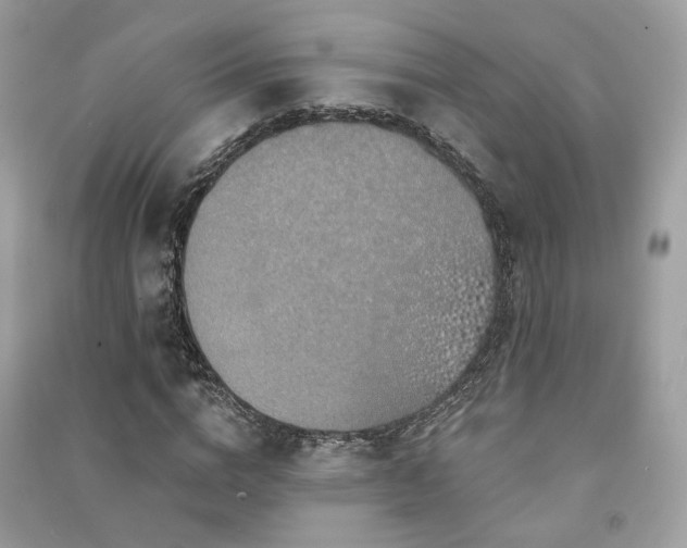 X0000091370824200708101531