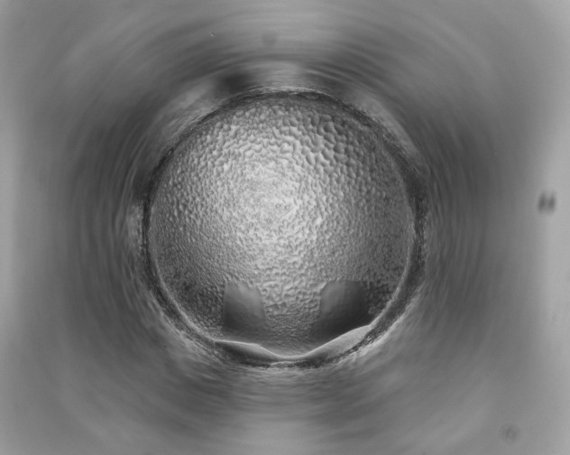 X0000091370825200708101531