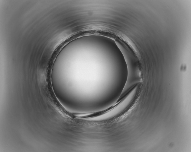 X0000091370826200708101531