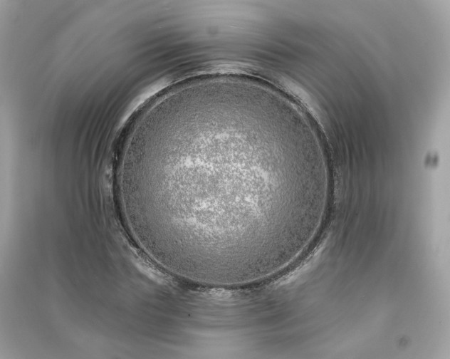 X0000091370827200708101531