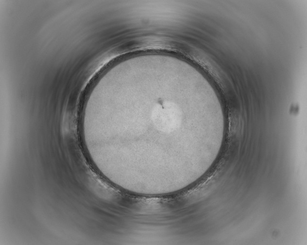 X0000091370828200708101531