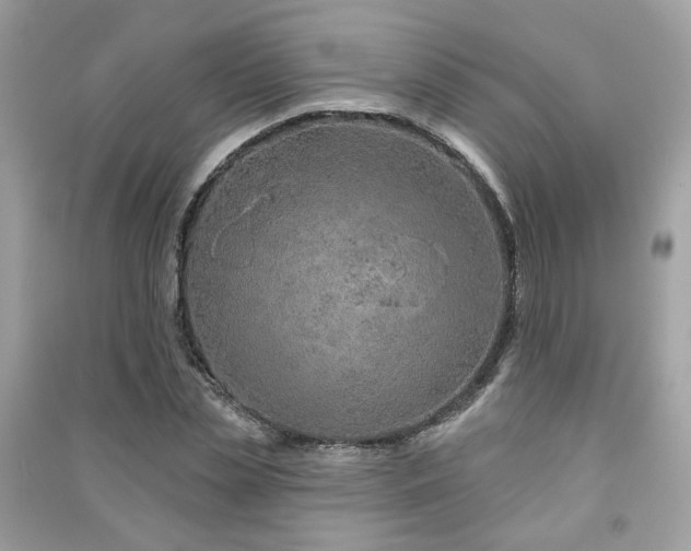 X0000091370829200708101531