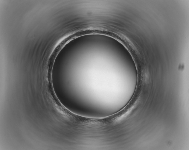 X0000091370830200708101531