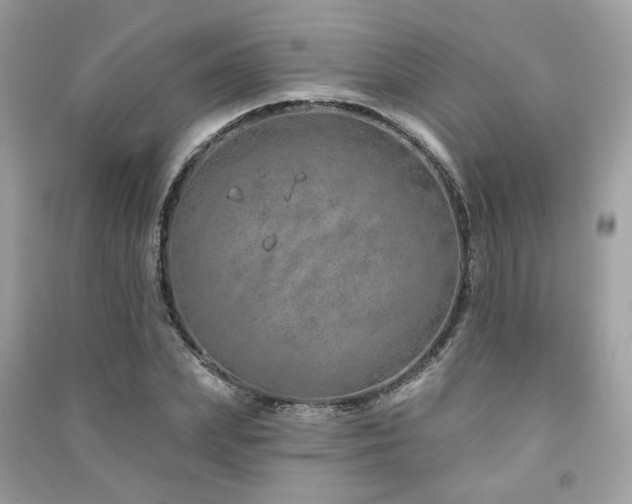 X0000091370831200708101531