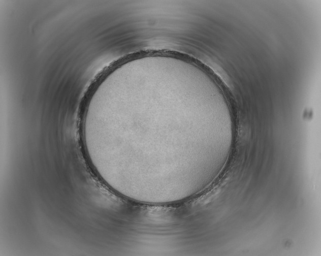 X0000091370832200708101531