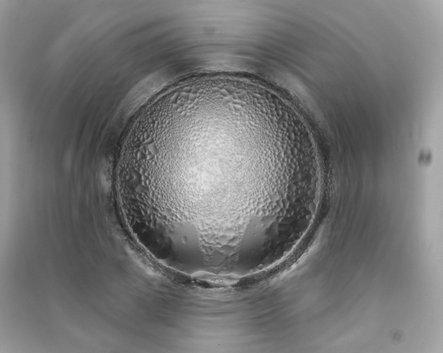 X0000091370833200708101531