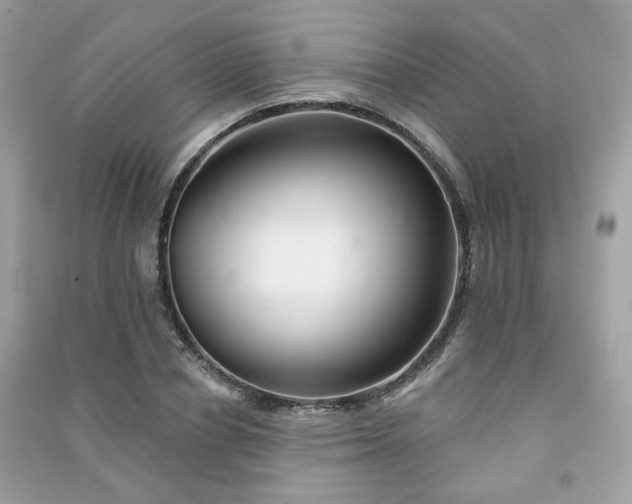 X0000091370834200708101531