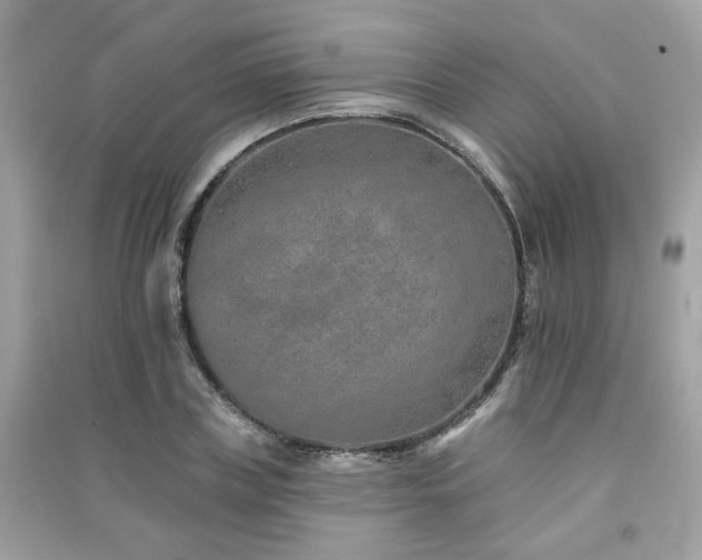 X0000091370835200708101531