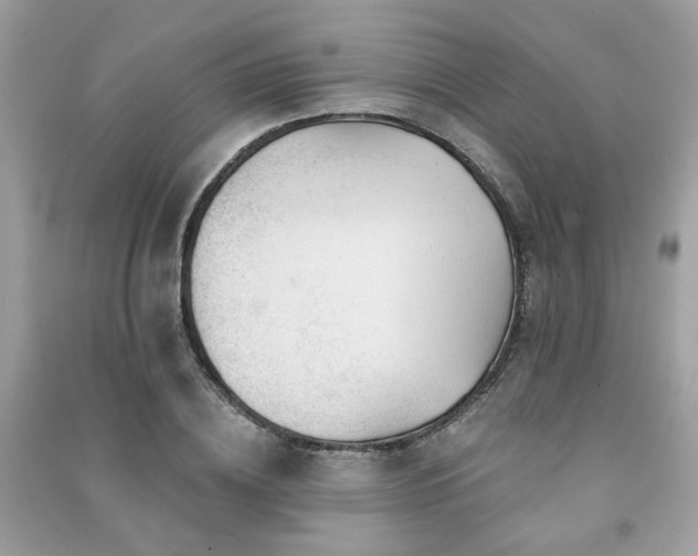 X0000091370836200708101531