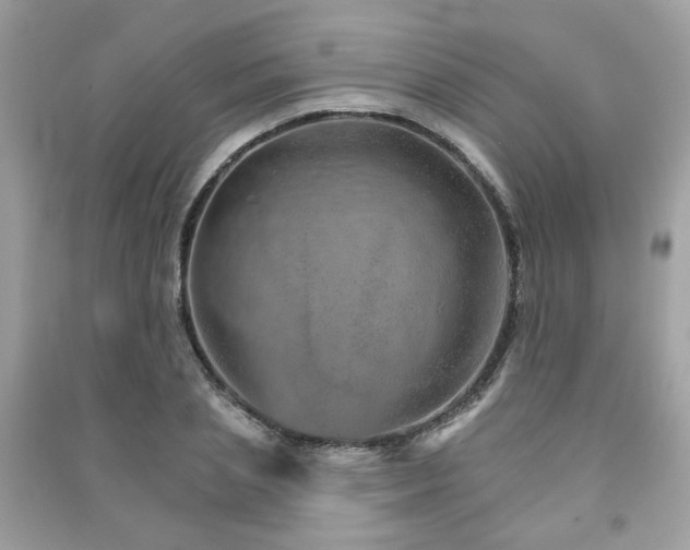 X0000091370837200708101531