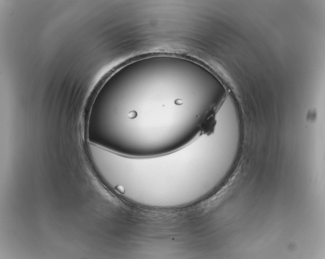 X0000091370838200708101531