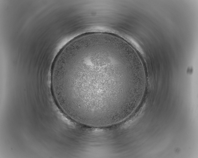 X0000091370839200708101531