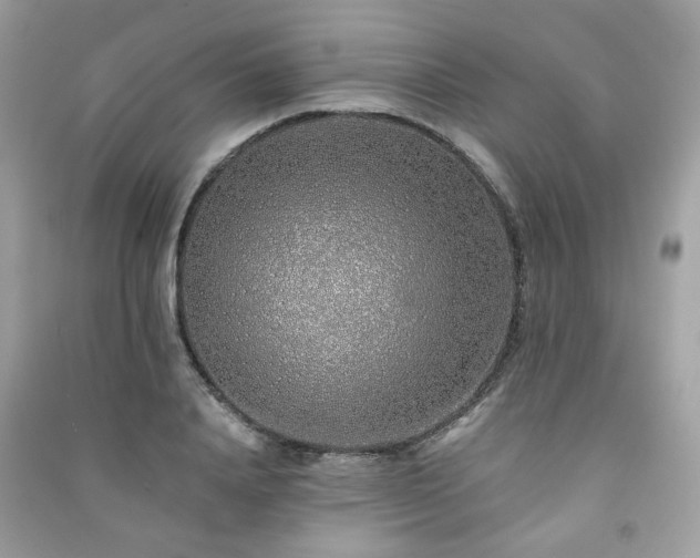 X0000091370840200708101531