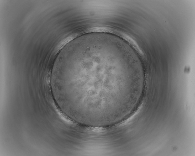 X0000091370841200708101531