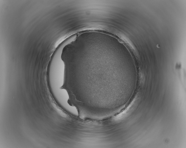 X0000091370842200708101531