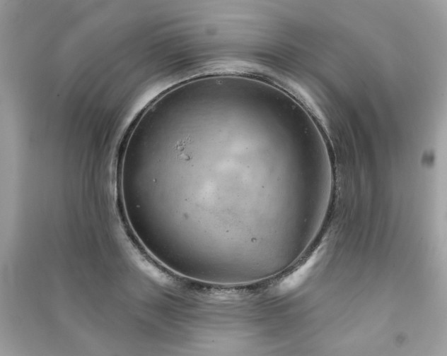 X0000091370843200708101531