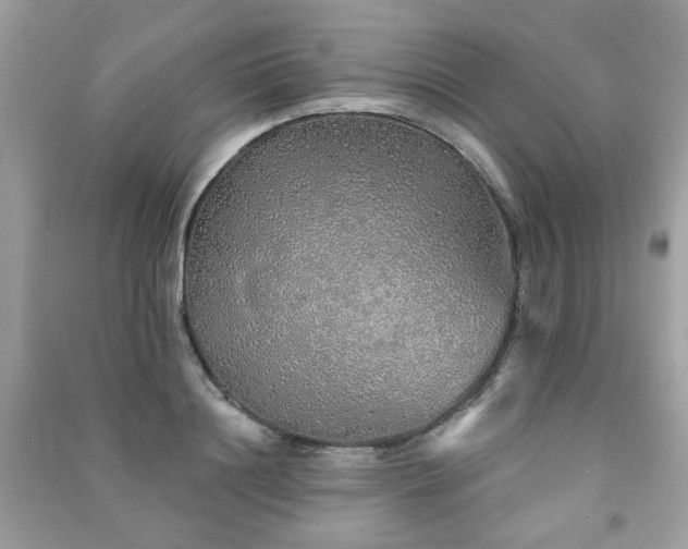 X0000091370844200708101531