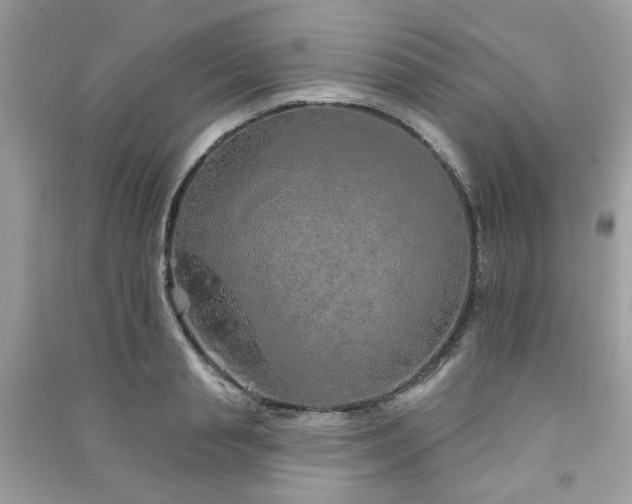 X0000091370845200708101531