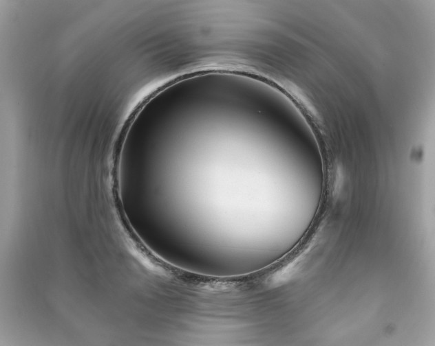 X0000091370846200708101531