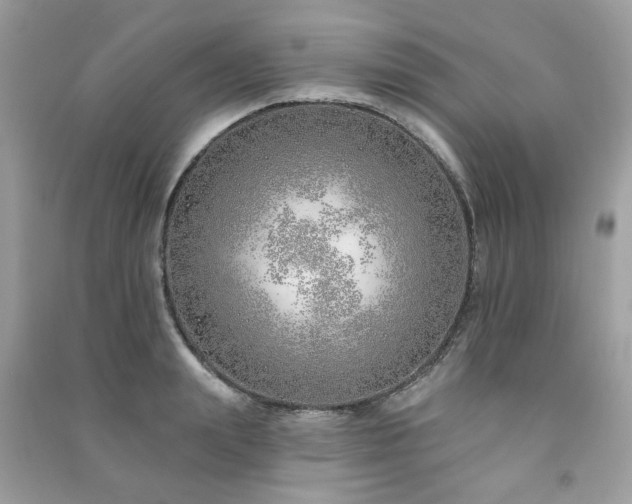 X0000091370847200708101531