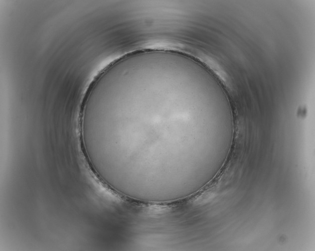 X0000091370848200708101531