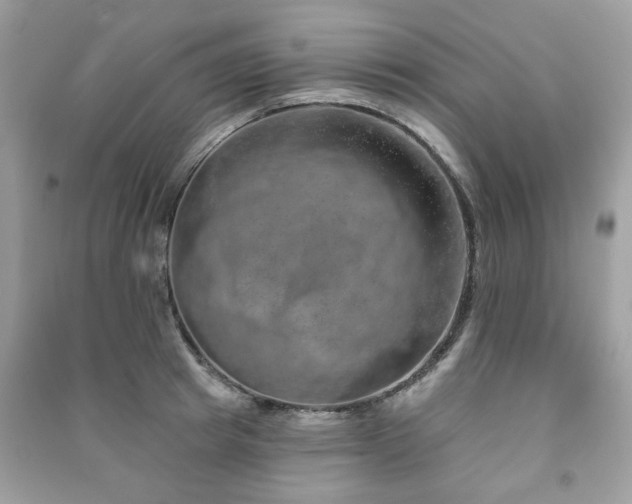 X0000091370849200708101531