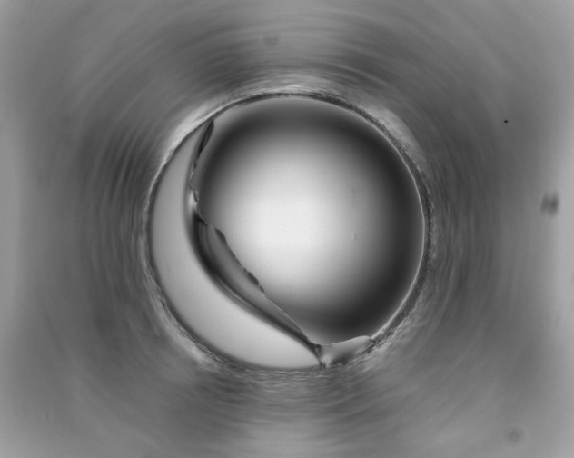 X0000091370850200708101531