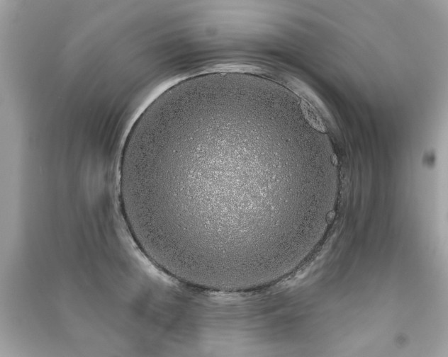 X0000091370852200708101531