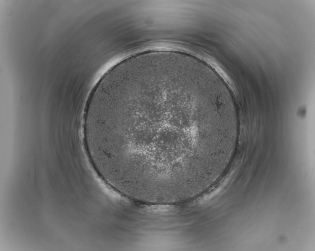 X0000091370853200708101531