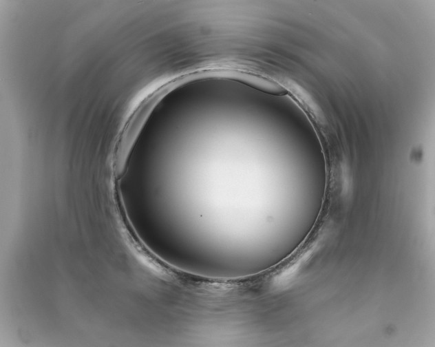 X0000091370854200708101531