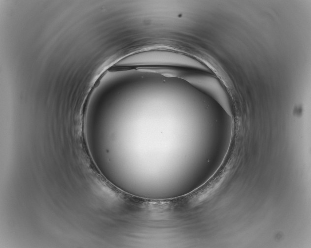 X0000091370858200708101531