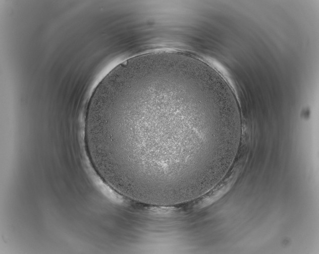 X0000091370859200708101531