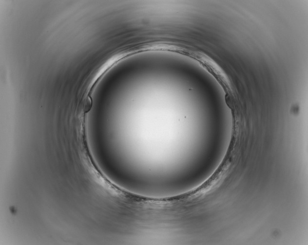 X0000091370860200708101531