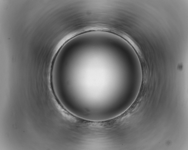 X0000091370861200708101531