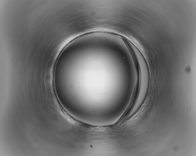 X0000091370862200708101531