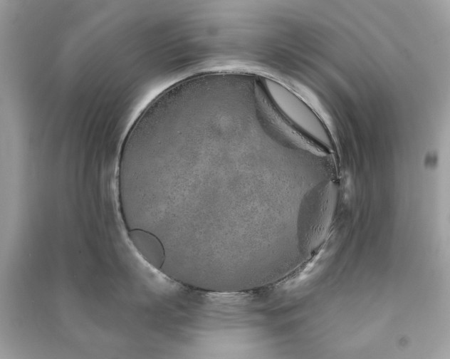 X0000091370863200708101531