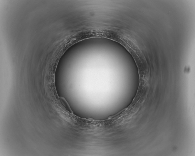 X0000091370865200708101530