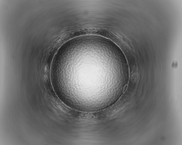 X0000091370866200708101530