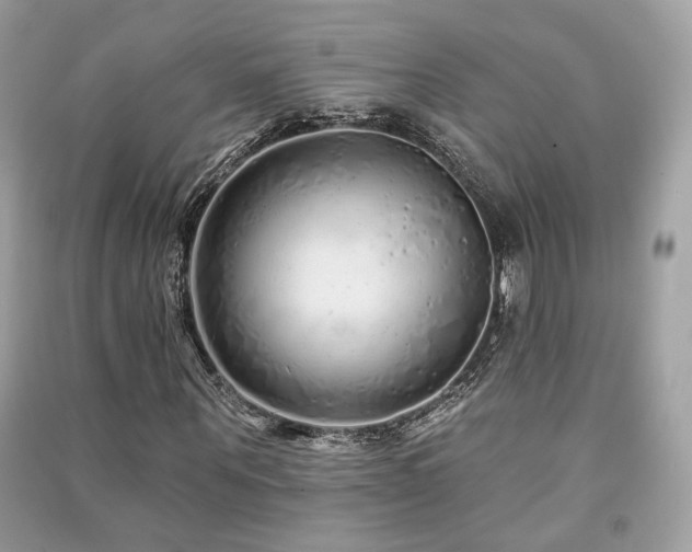 X0000091370867200708101530