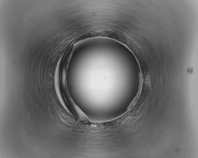 X0000091370868200708101530