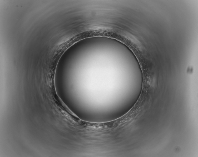 X0000091370869200708101530