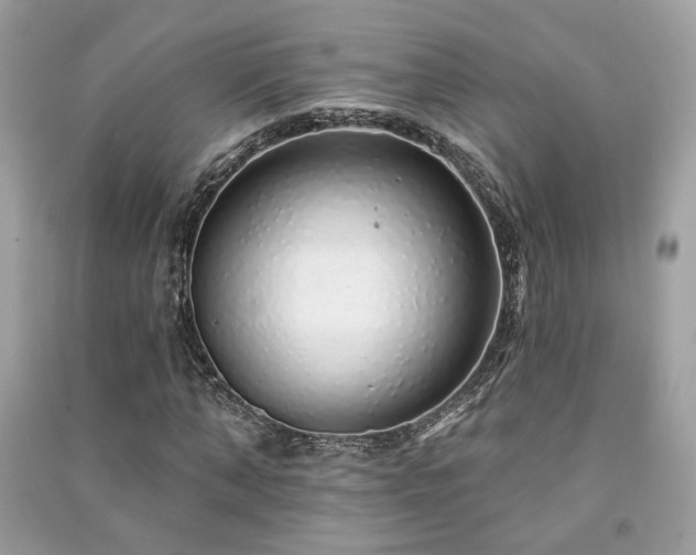 X0000091370870200708101530