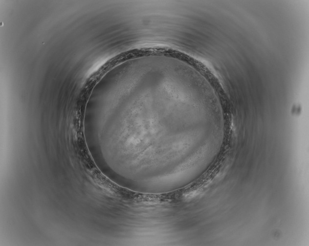 X0000091370871200708101530