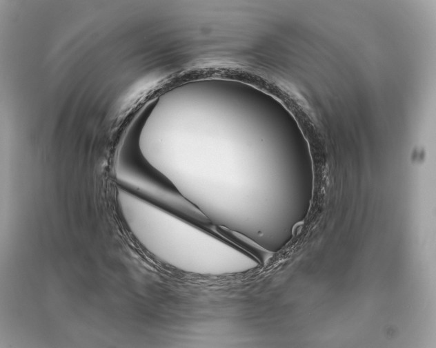 X0000091370872200708101530