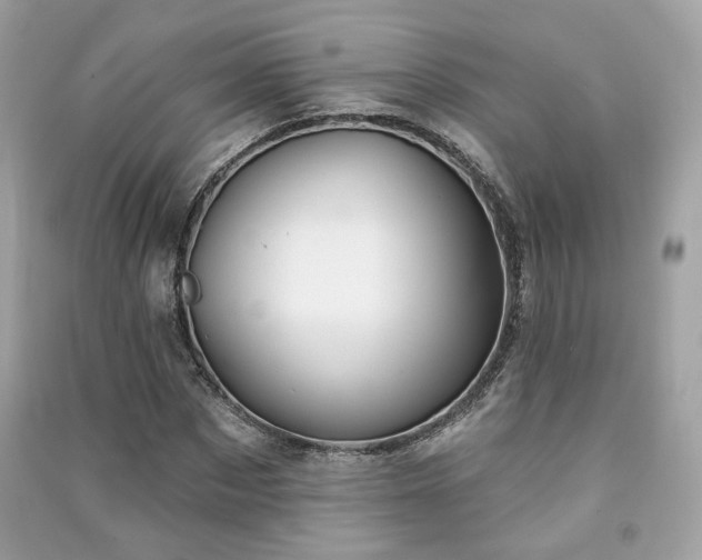 X0000091370873200708101530