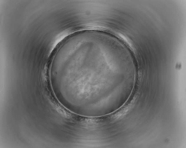 X0000091370875200708101530