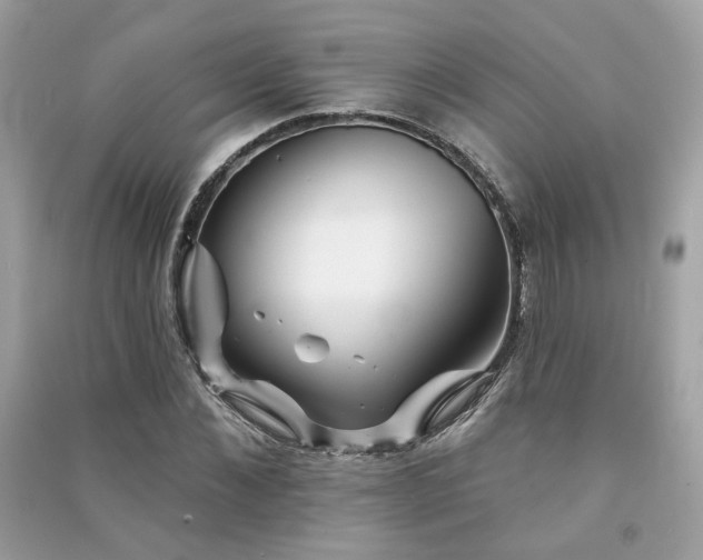 X0000091370876200708101530