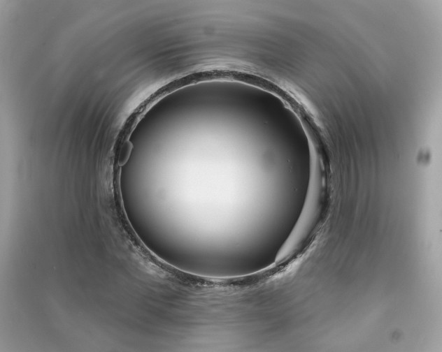 X0000091370877200708101530