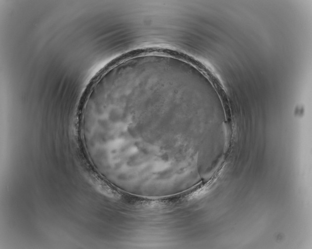 X0000091370879200708101530